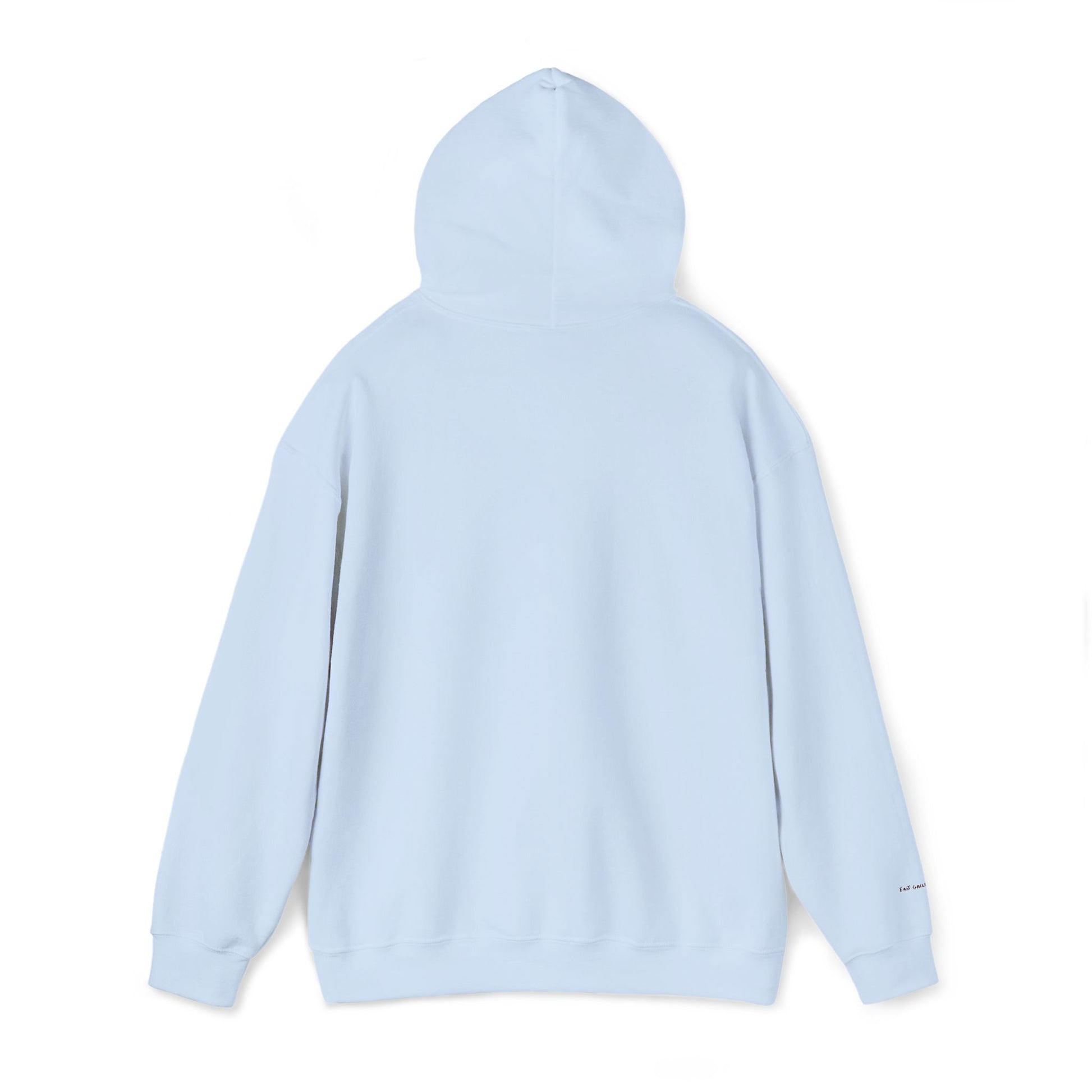 Toronto Embroidered Hooded Sweatshirt