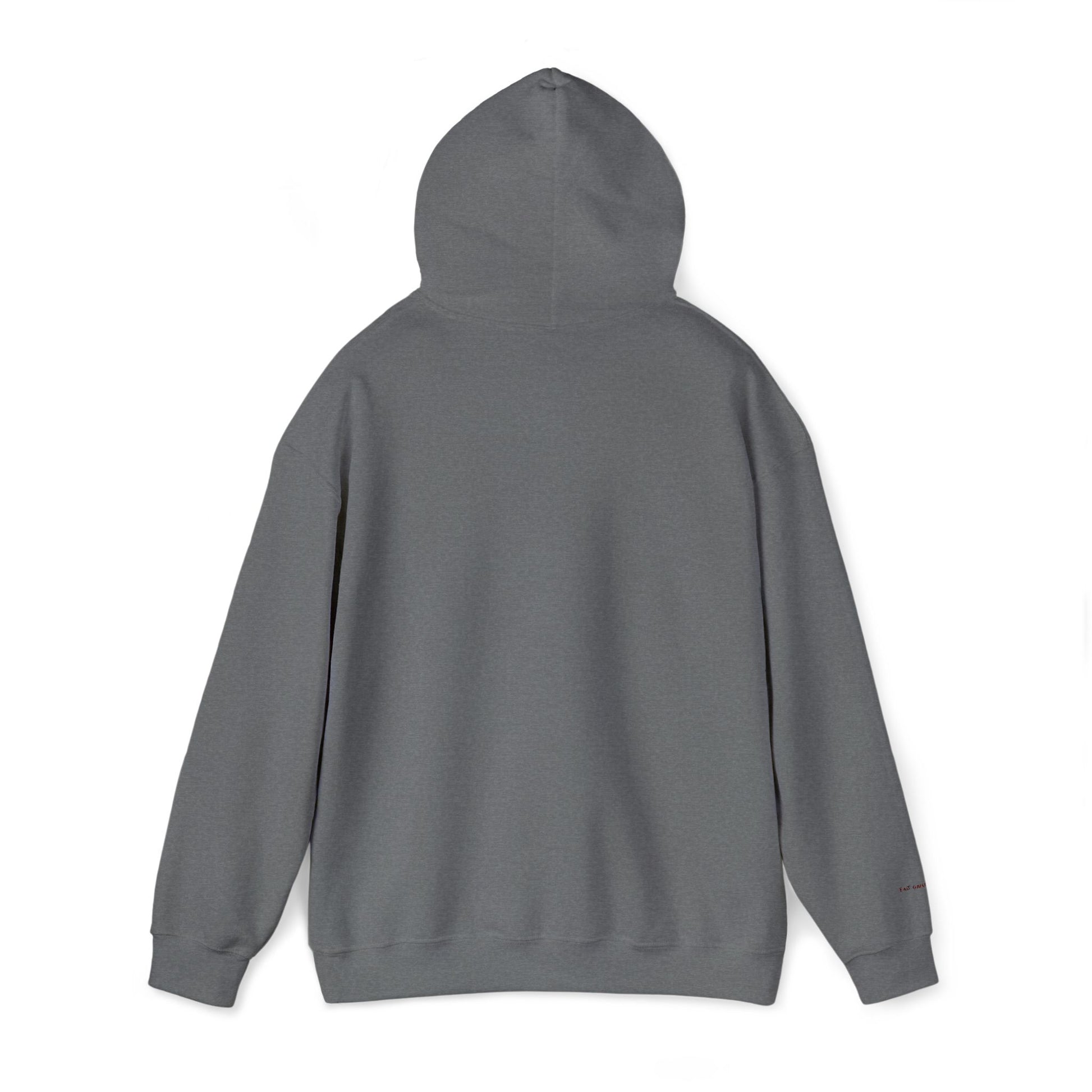 Toronto Embroidered Hooded Sweatshirt