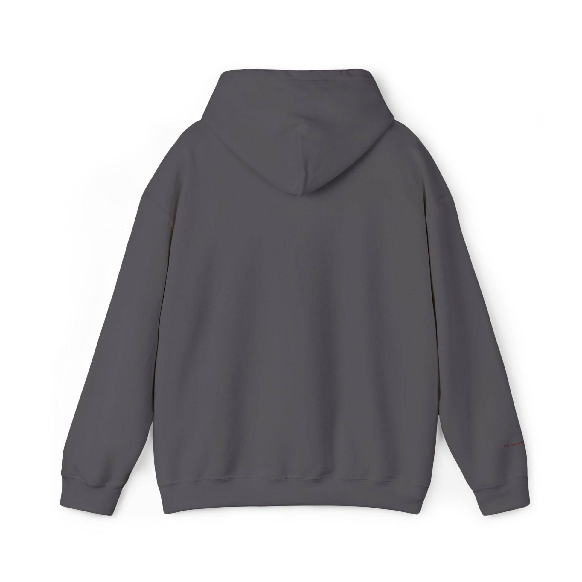 Madrid Embroidered Hooded Sweatshirt