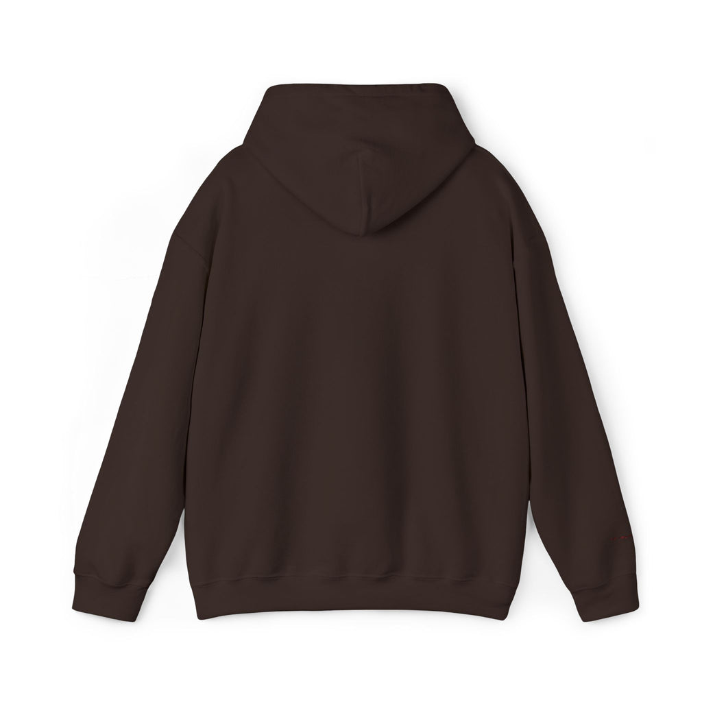 Take Risks Embroidered Hooded Sweatshirt