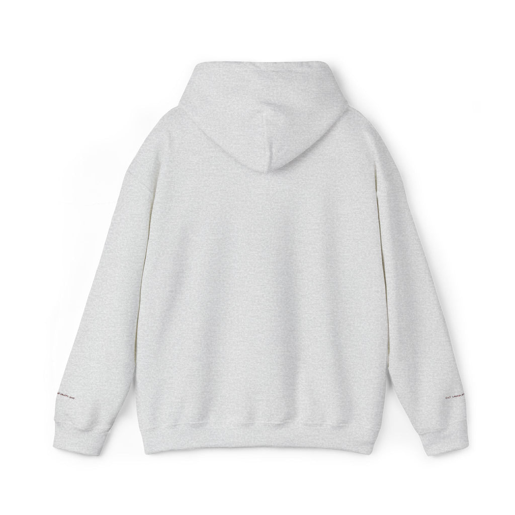 Detroit Embroidered Hooded Sweatshirt