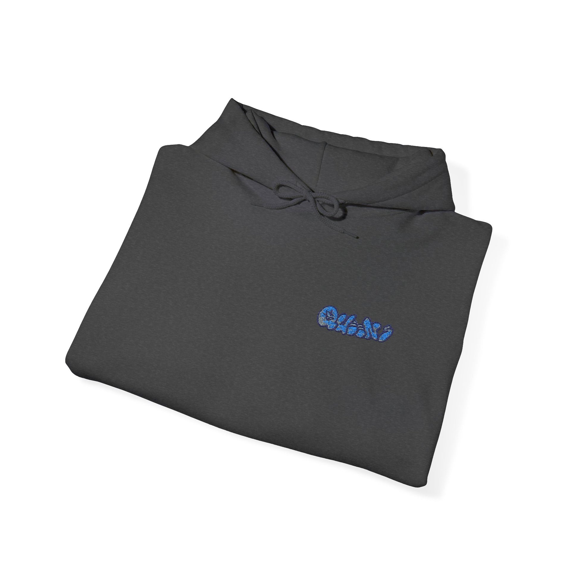 Queens Embroidered Hooded Sweatshirt