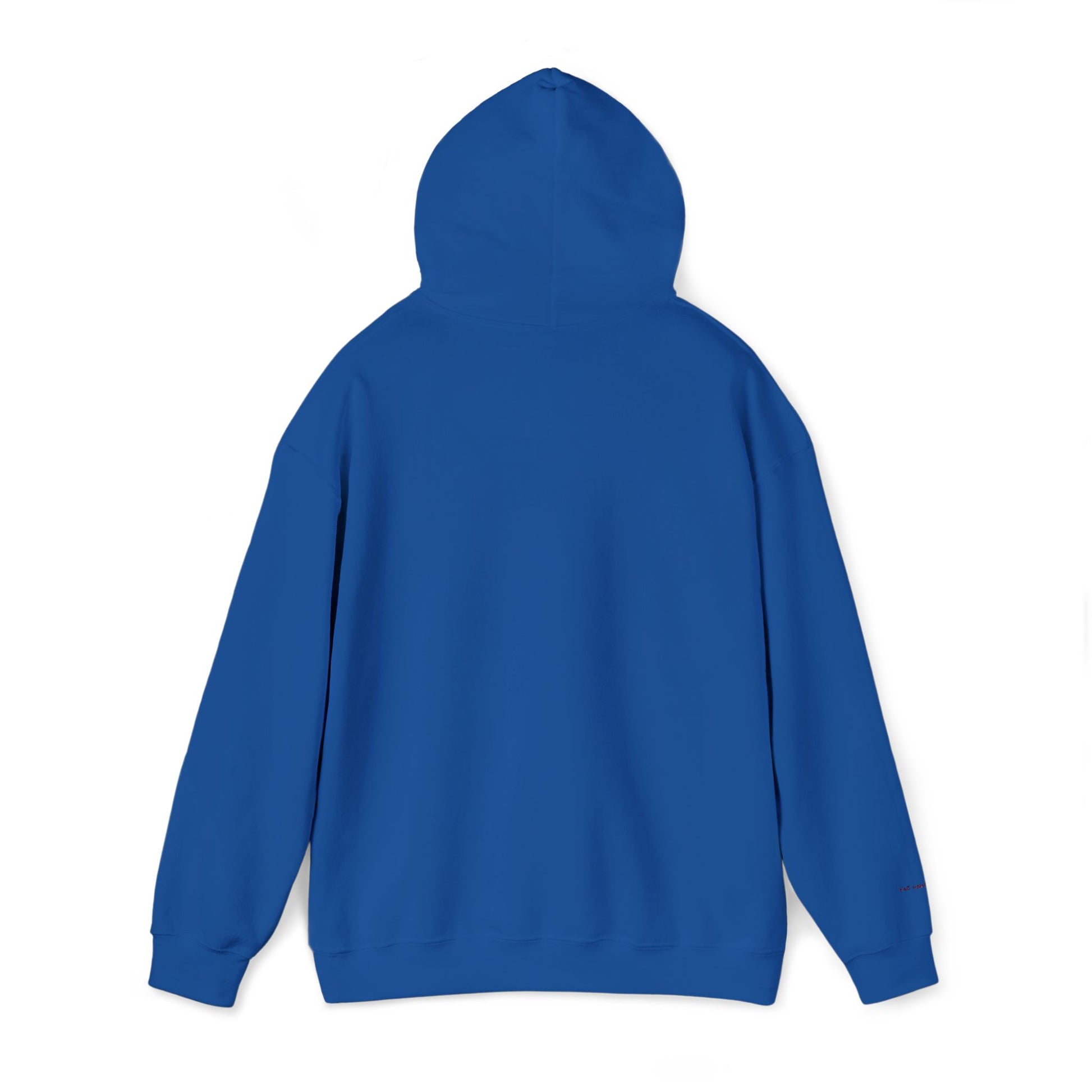 São Paulo Embroidered Hooded Sweatshirt