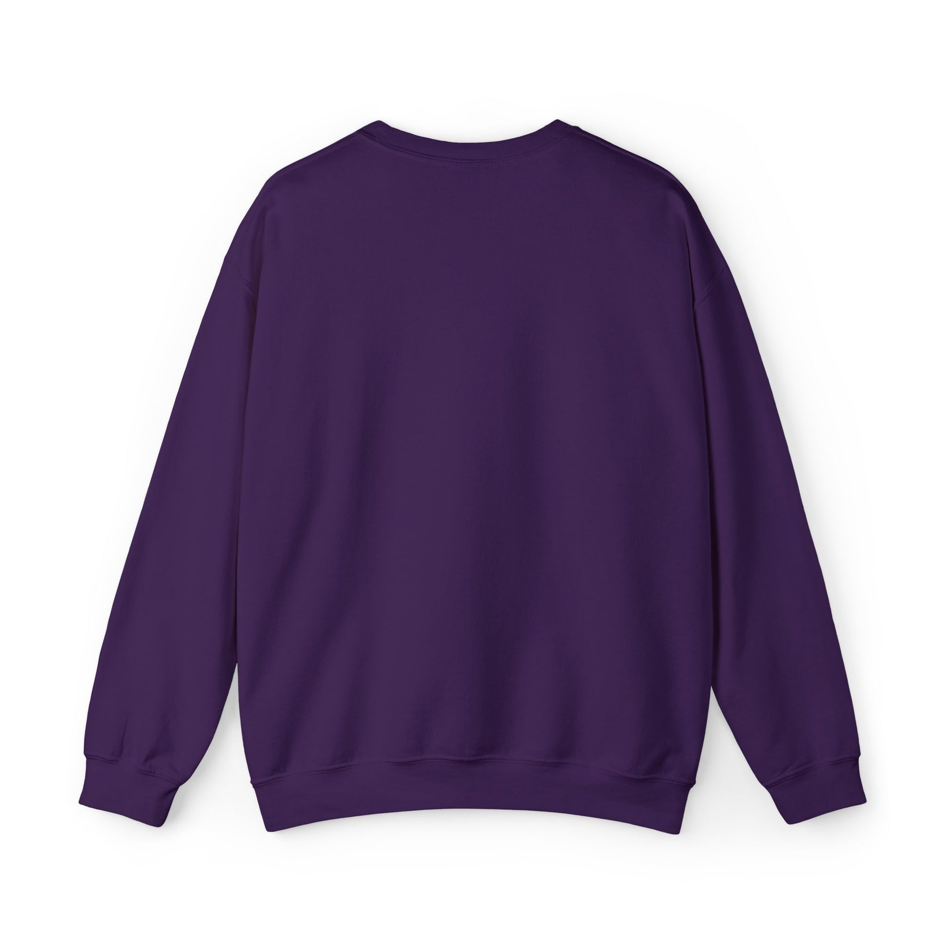 Chicago Embroidered Sweatshirt