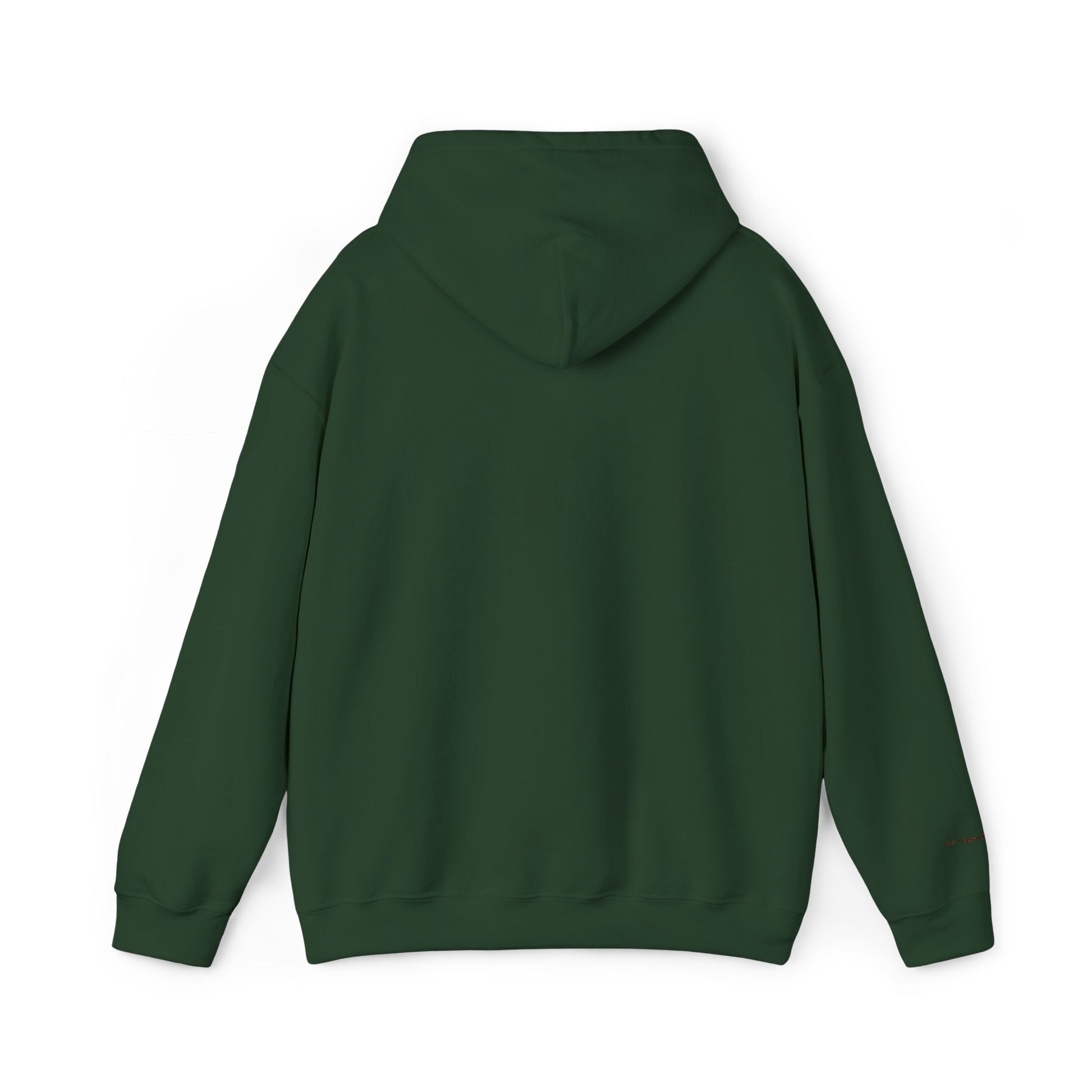 São Paulo Embroidered Hooded Sweatshirt