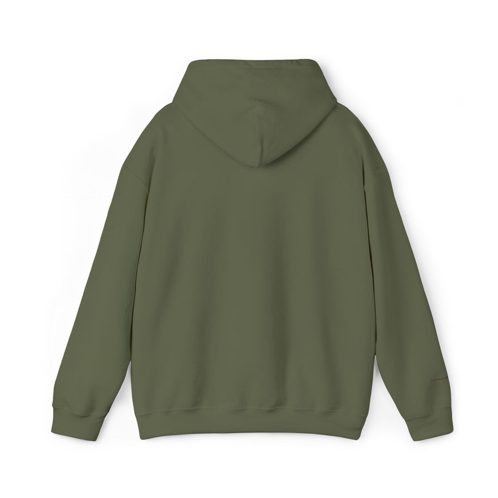 Brazil Embroidered Hooded Sweatshirt