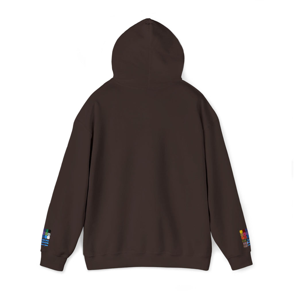 San Francisco Embroidered Hooded Sweatshirt