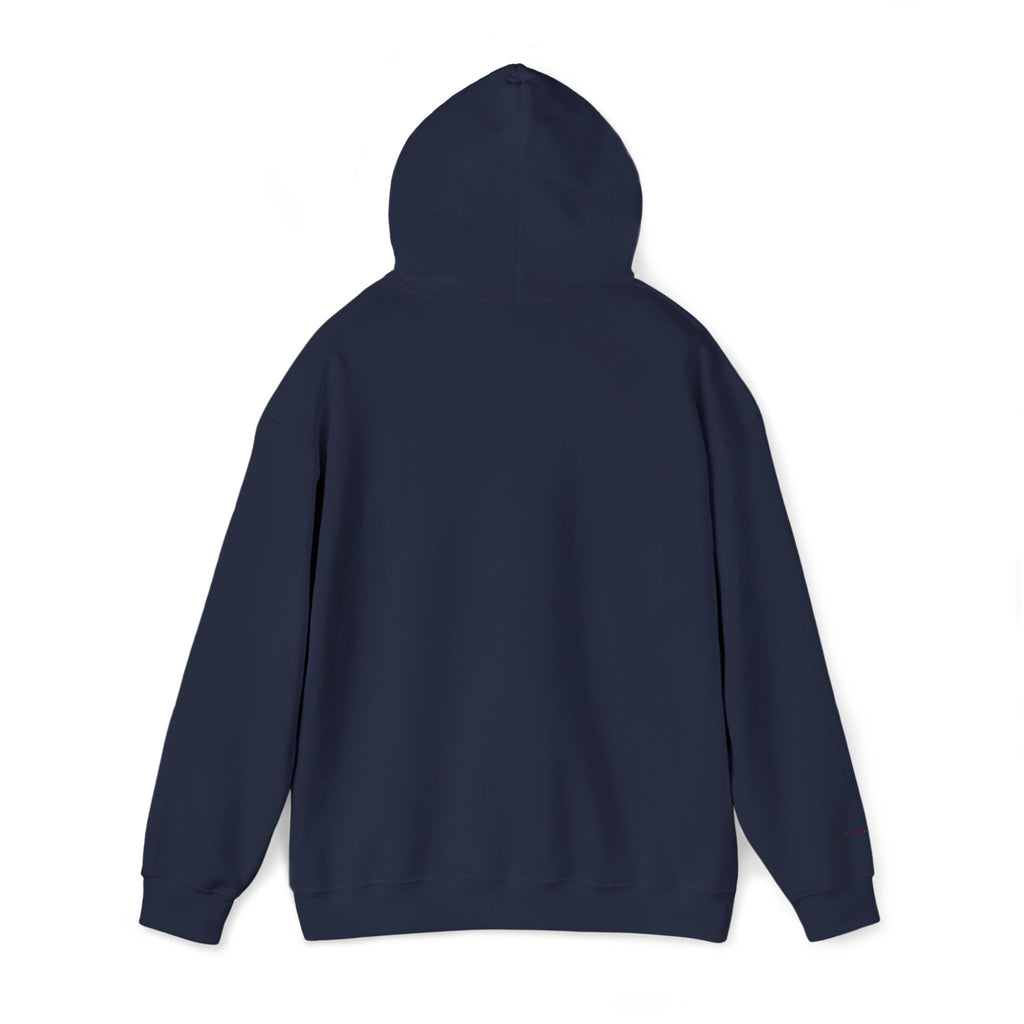 Toronto Embroidered Hooded Sweatshirt