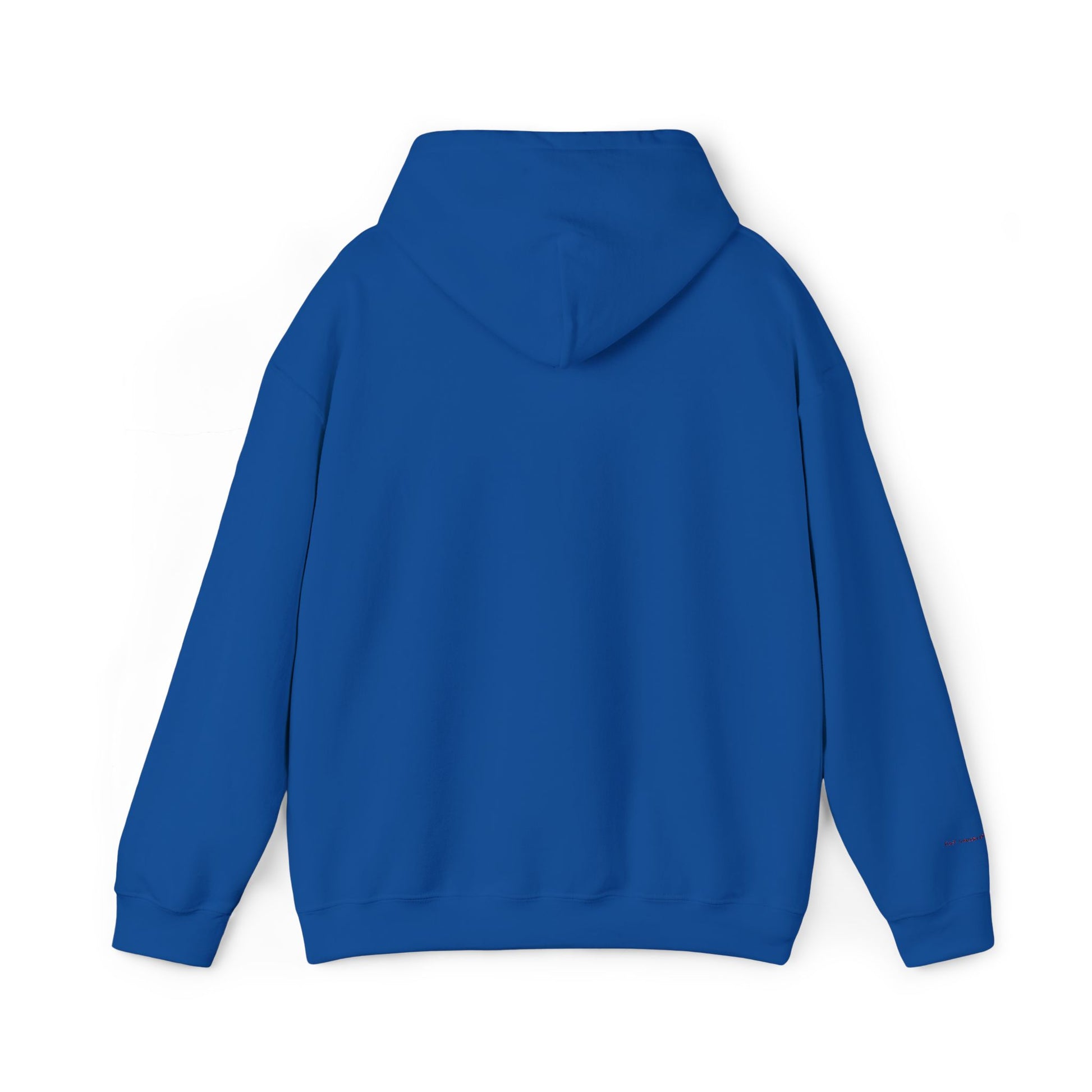 Toronto Embroidered Hooded Sweatshirt