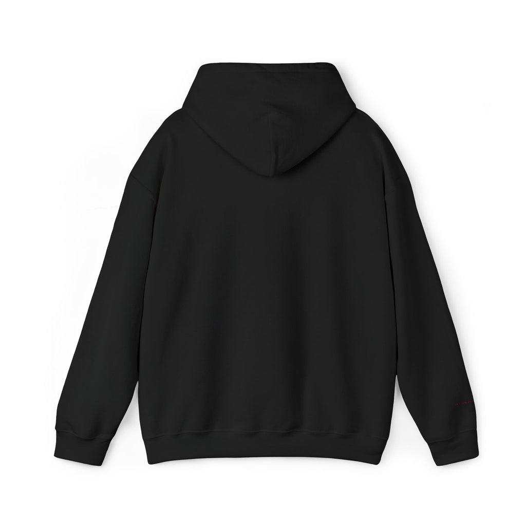 Houston Embroidered Hooded Sweatshirt