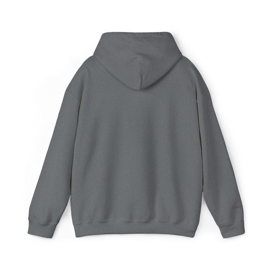 Toronto Embroidered Hooded Sweatshirt