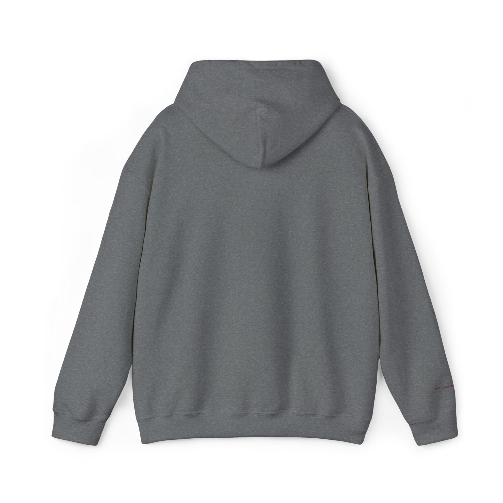 Toronto Embroidered Hooded Sweatshirt