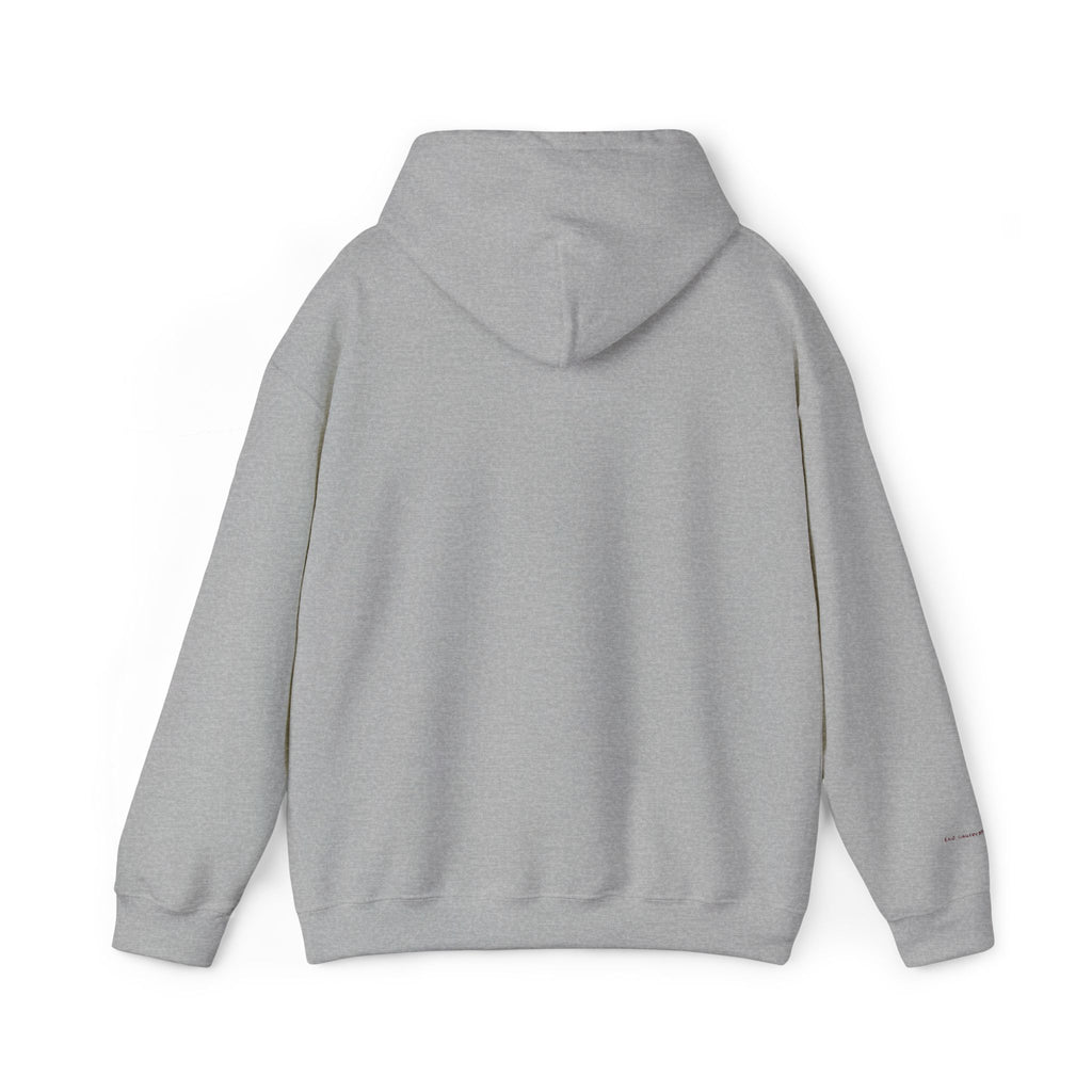 Houston Embroidered Hooded Sweatshirt