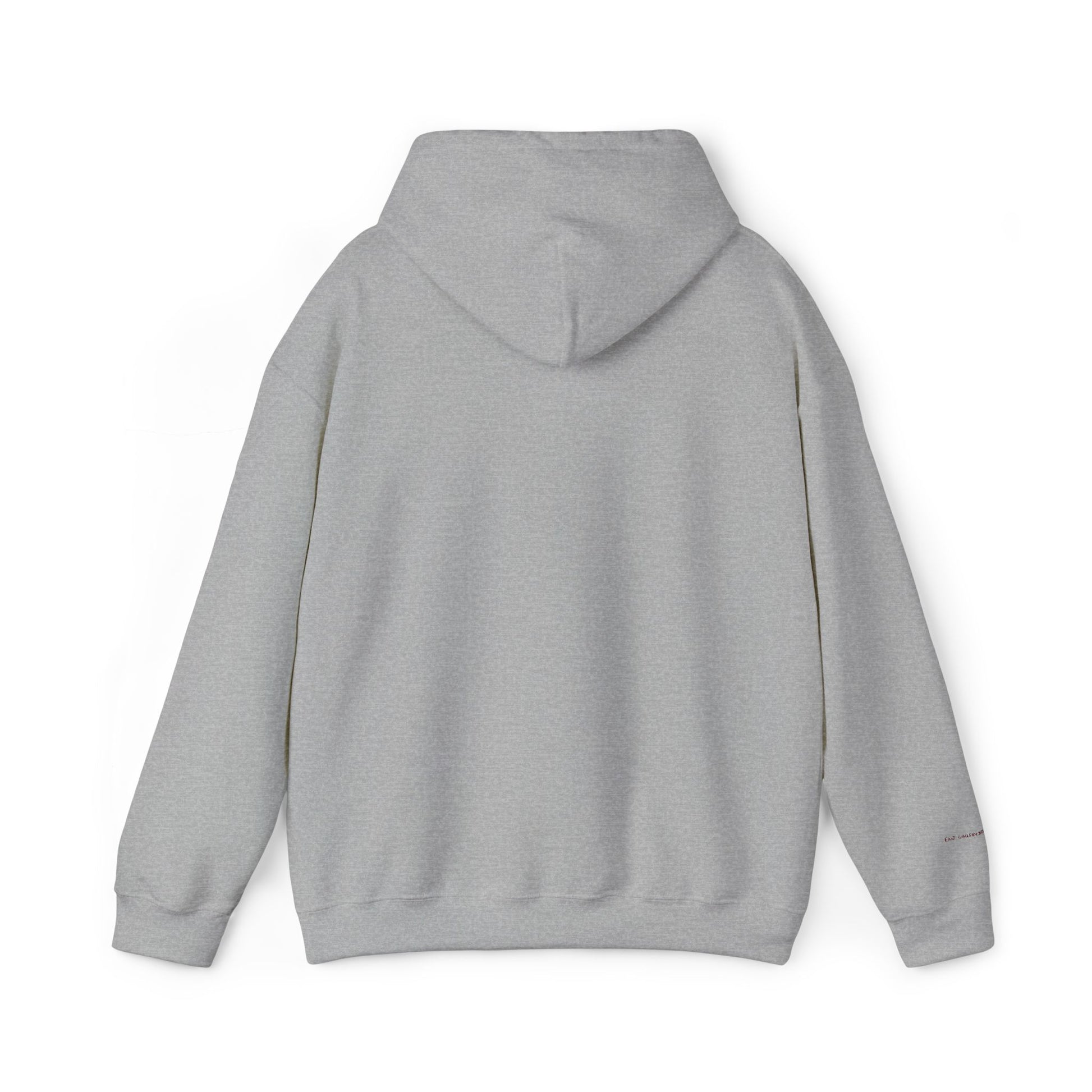 Houston Embroidered Hooded Sweatshirt