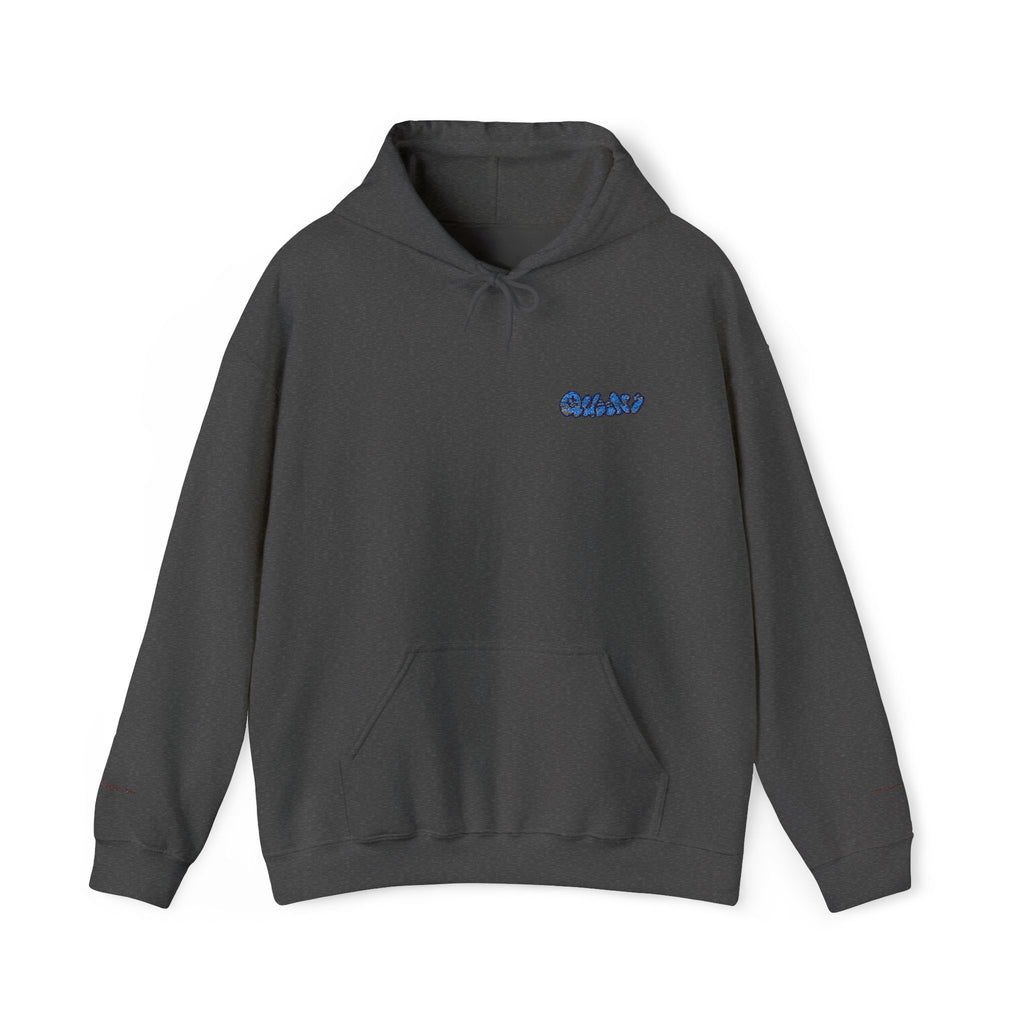 Queens Embroidered Hooded Sweatshirt