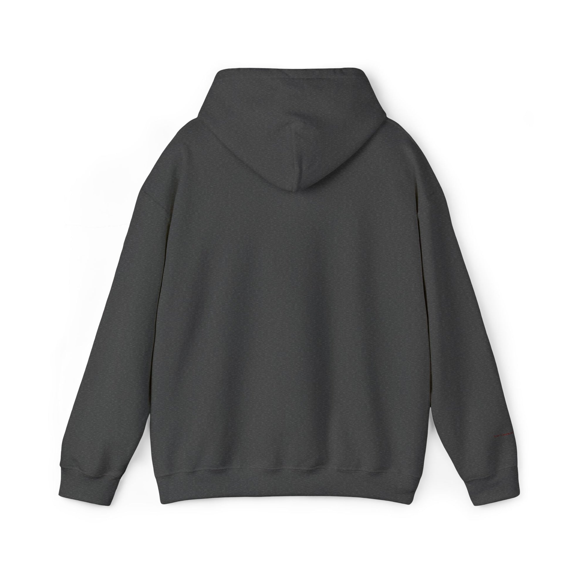 Brazil Embroidered Hooded Sweatshirt