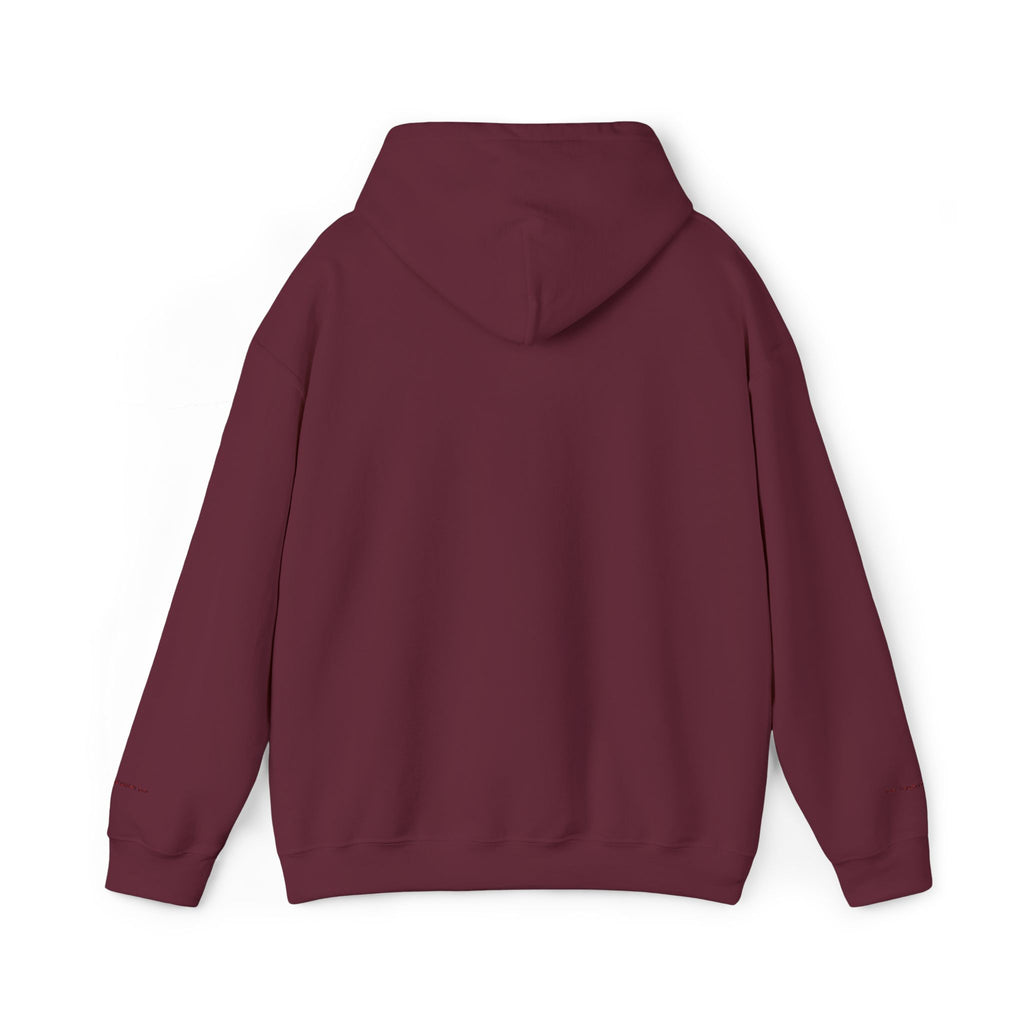 Detroit Embroidered Hooded Sweatshirt