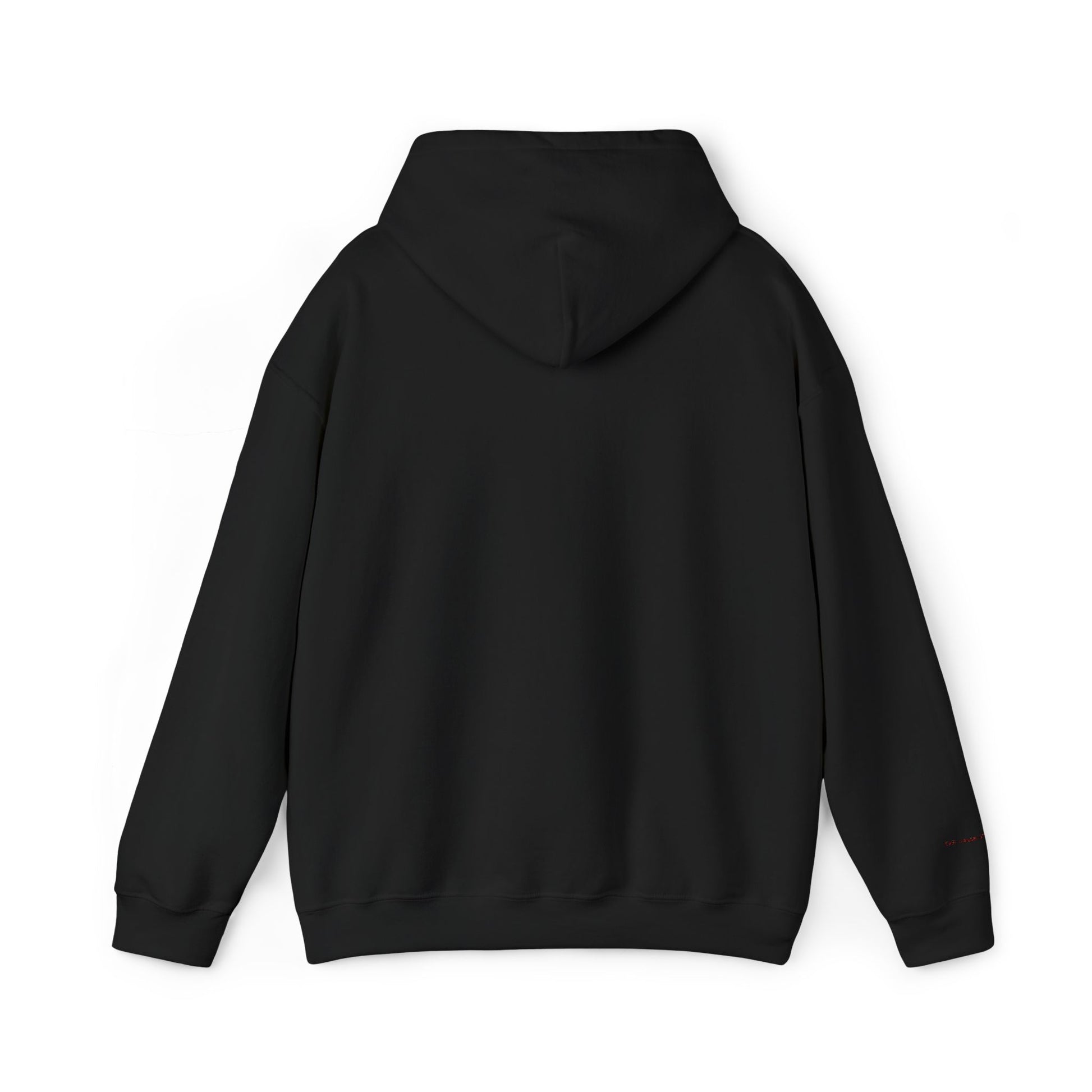 Toronto Embroidered Hooded Sweatshirt