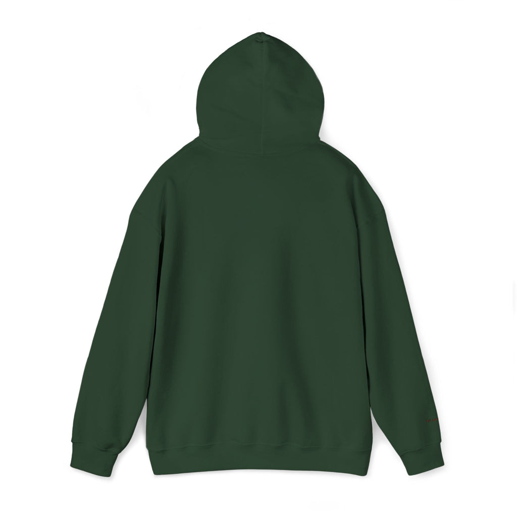São Paulo Embroidered Hooded Sweatshirt