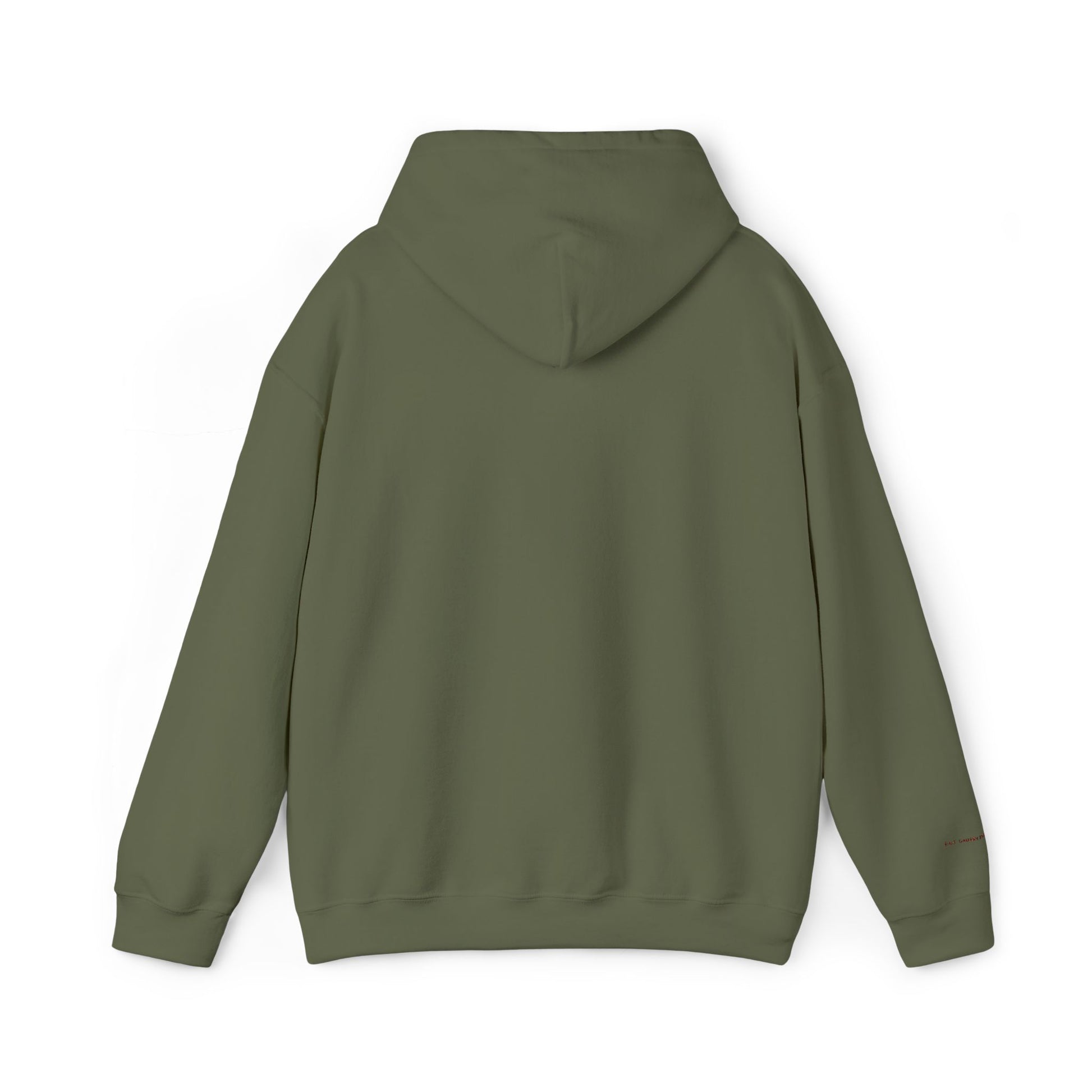 Toronto Embroidered Hooded Sweatshirt