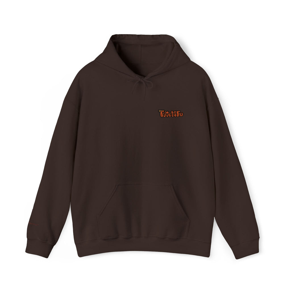 Toronto Embroidered Hooded Sweatshirt