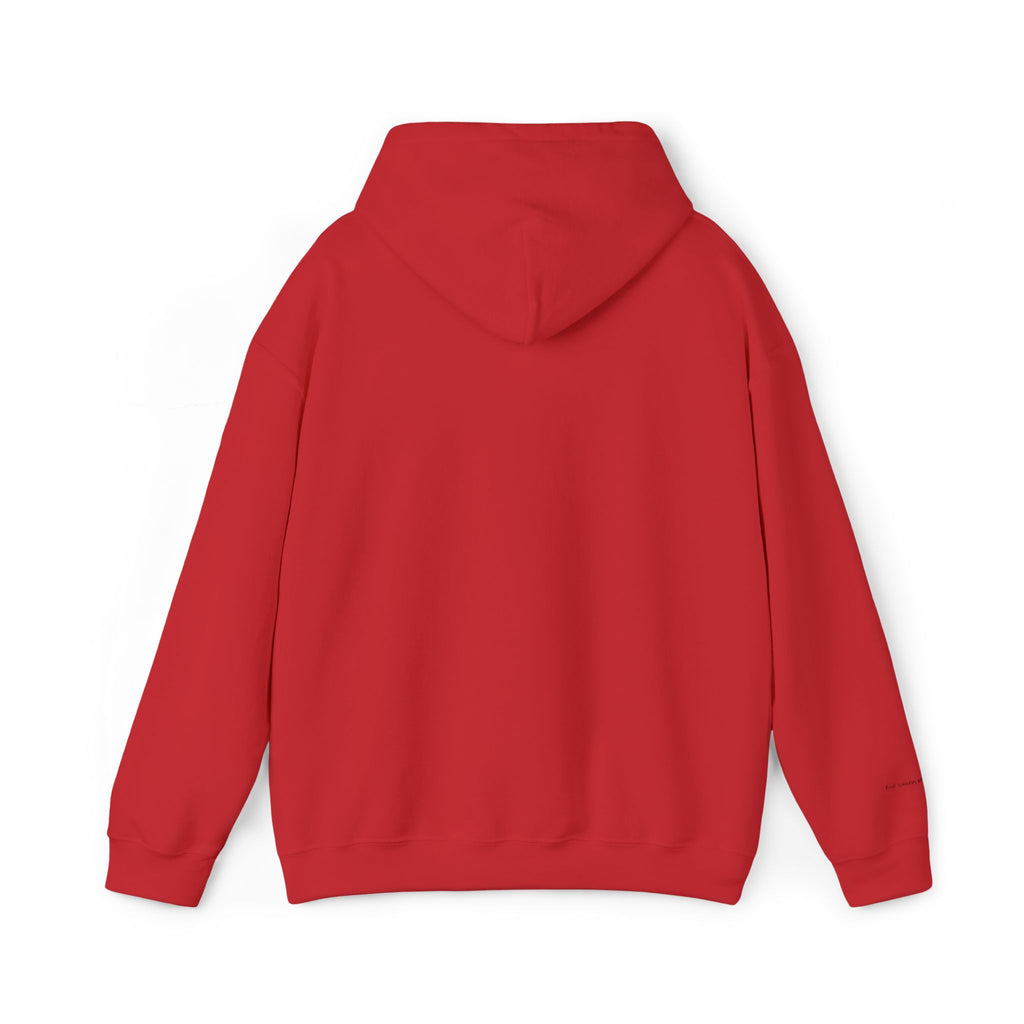 Houston Embroidered Hooded Sweatshirt