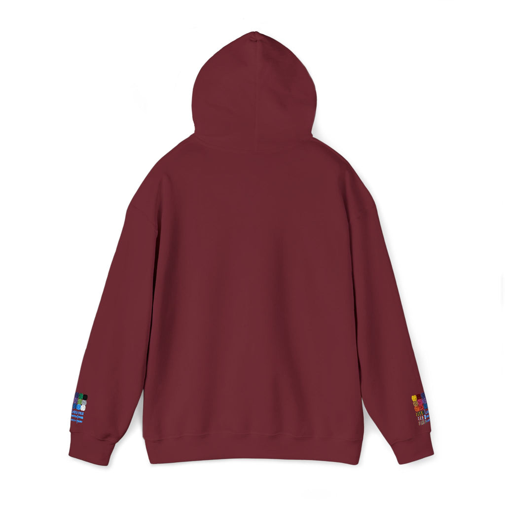 San Francisco Embroidered Hooded Sweatshirt