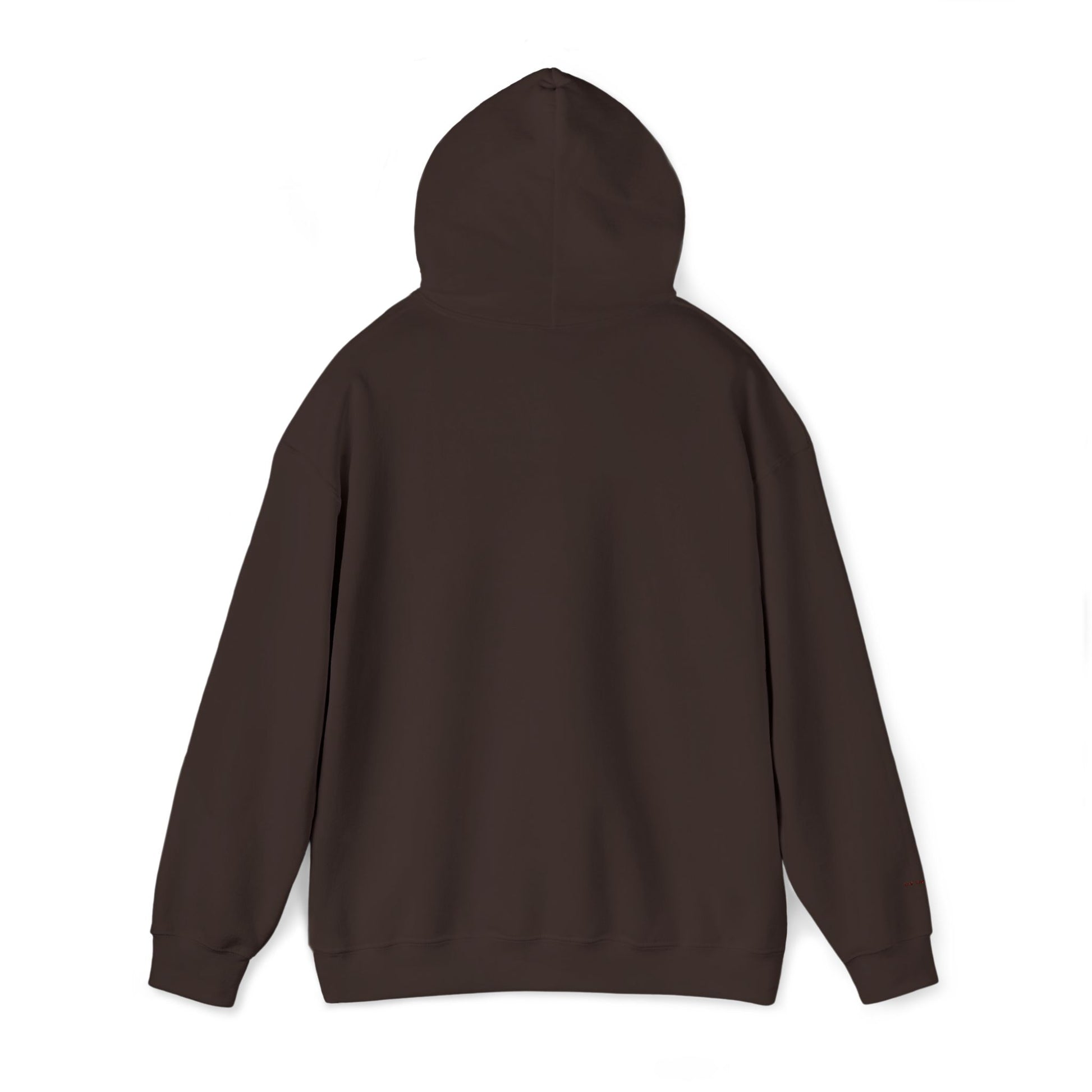 Take Risks Embroidered Hooded Sweatshirt