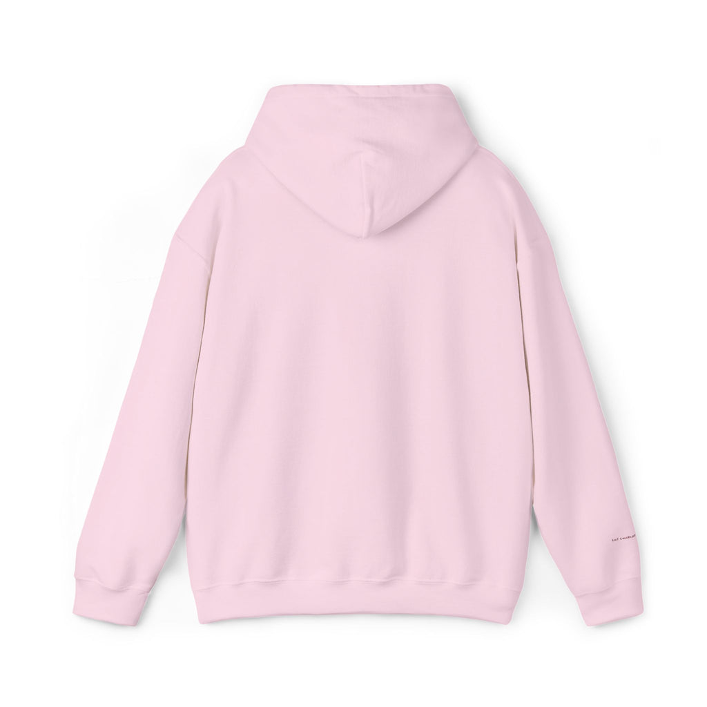 Brazil Embroidered Hooded Sweatshirt
