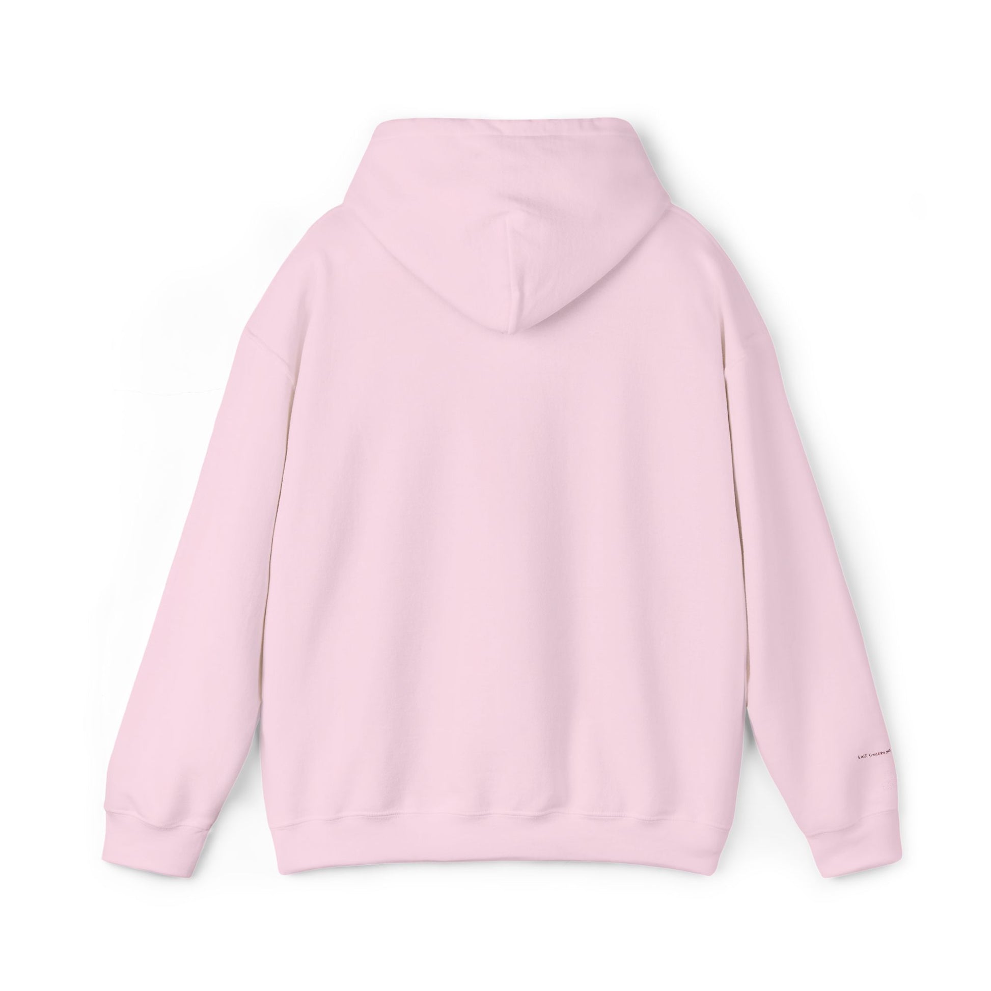 Brazil Embroidered Hooded Sweatshirt