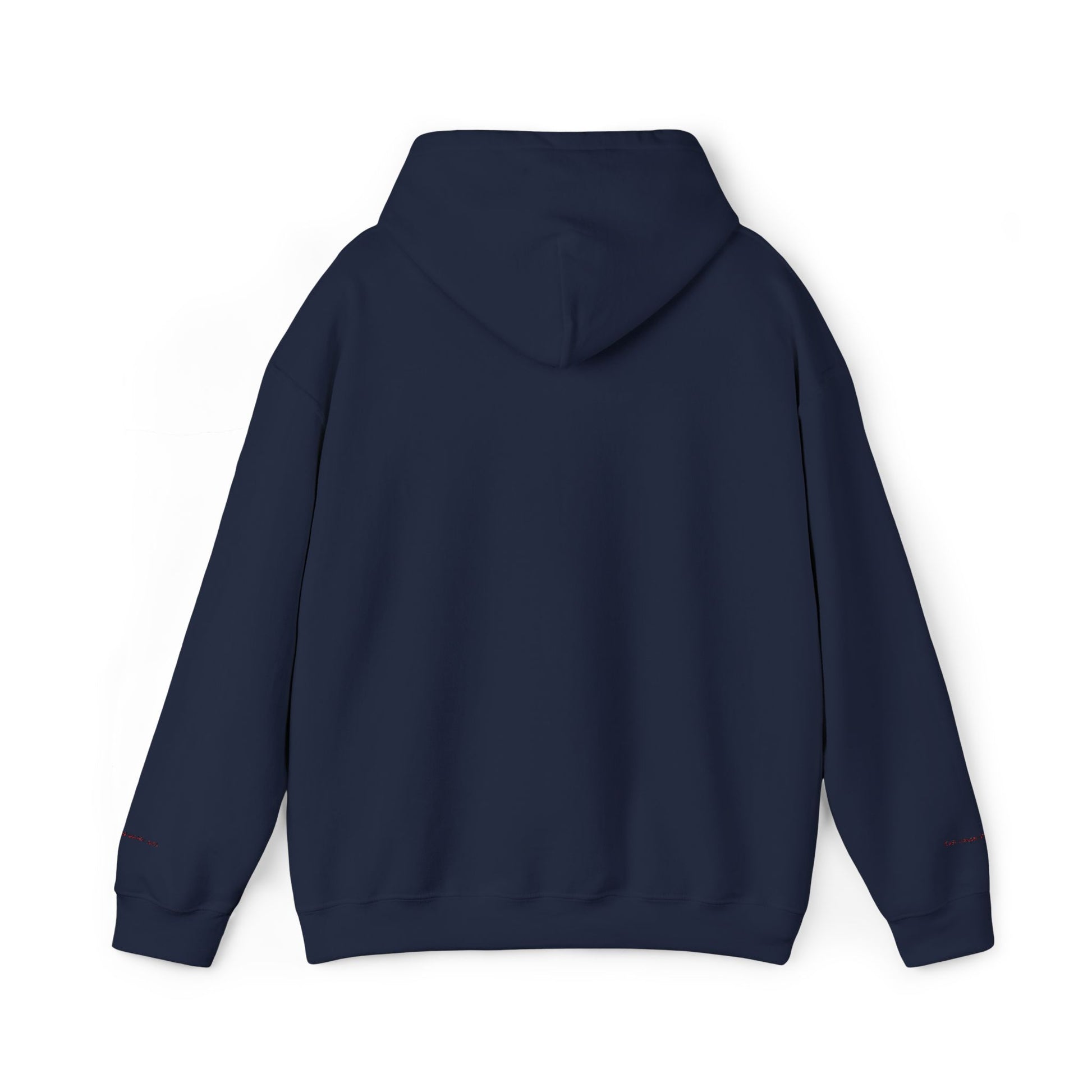 Detroit Embroidered Hooded Sweatshirt